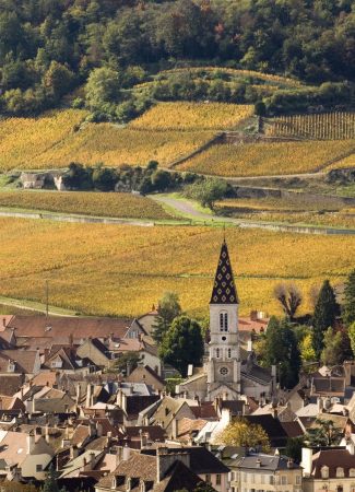 Les Climats de Bourgogne à l’UNESCO