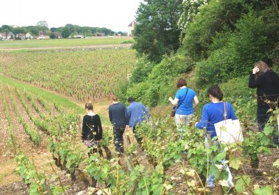 Clos de Bourgogne les ateliers du vin