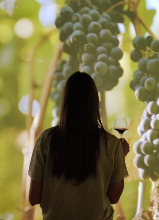 Alice raconte… L’Ecole des Vins de Bourgogne