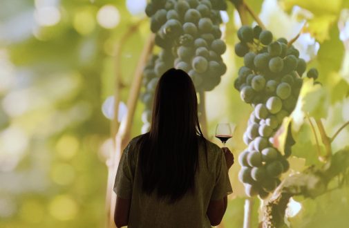 Alice raconte… L’Ecole des Vins de Bourgogne
