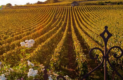 La Bourgogne : l’appel de l’automne