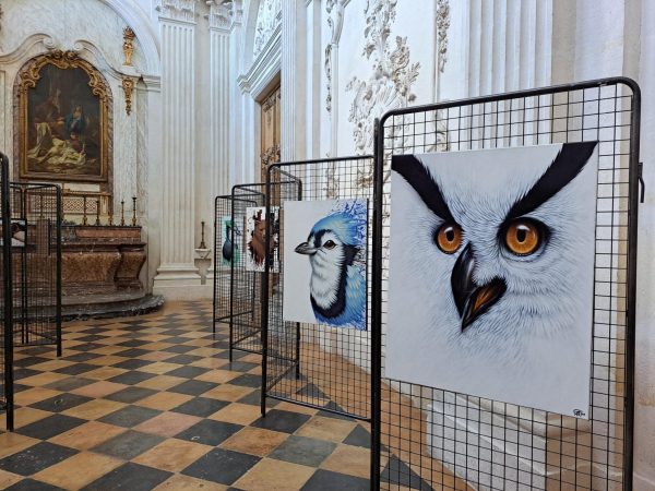 Expositions « Portraits d’oiseaux » et « Rêves sauvages »