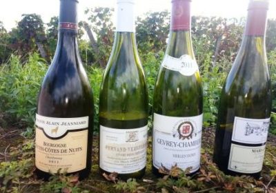 Clos de bourgogne, ateliers découverte « vigne et vin » - 4