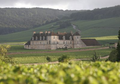 Château du Clos de Vougeot - 4