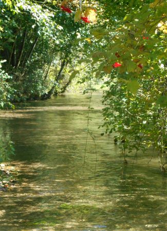 Balades naturalistes gratuites sur la nappe de Dijon Sud  et de la Cent Fonts – Parcours 1 (Fénay-Saulon-la-Rue) – ENS2024