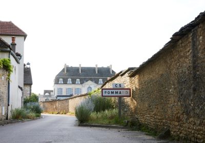 Château de Pommard – Expérience la Route des Grands Crus - 0