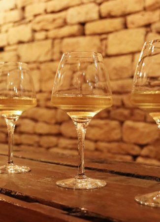 Dégustation découverte vignobles Bourguignon (5 Vins x 5cl) – La Fine Heure