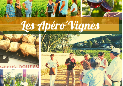Clos de bourgogne, ateliers découverte « vigne et vin » - 5