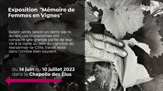 Exposition « Mémoire de Femmes en Vignes » - 0