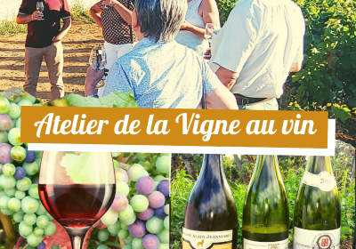 Clos de bourgogne, ateliers découverte « vigne et vin » - 0