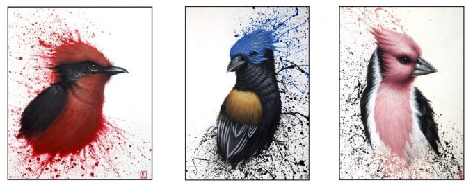 Exposition Florian Labaye « Rêves Sauvages » et LPO « Portraits d’oiseaux » - 0